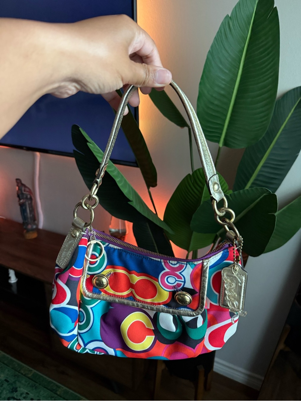 Coach Multicolor Signature Print Small Shoulder Bag